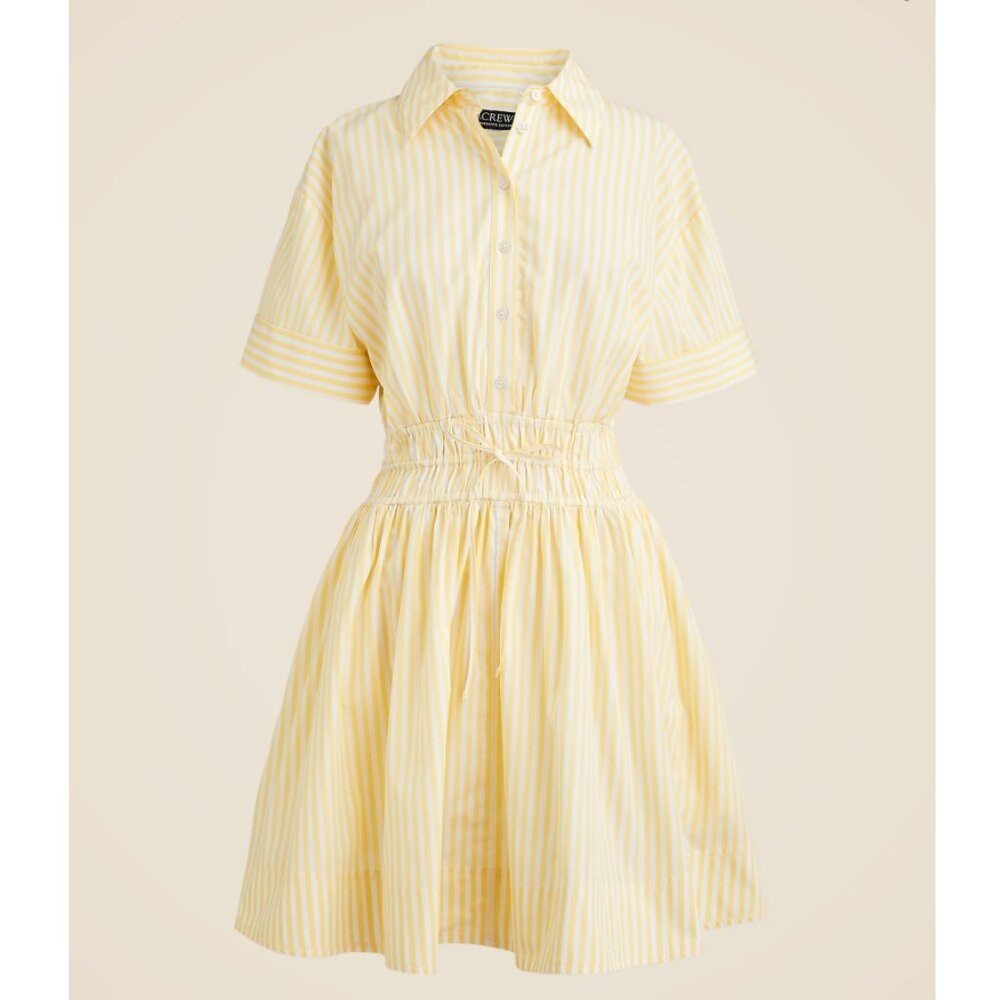 J Crew Shirt Dress Womens 10 Elena Striped Cotton Poplin